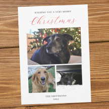 Family Holiday Cards