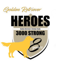 8th Anniversary T-shirt Fundraiser