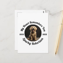 A Timeless Tribute to a Beloved Pet’s Memory