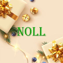 Noll Name Shirt Noll_collection