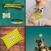 Red & Green chile Zia sun