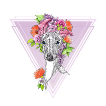 Italian greyhound Abstract Floral portrait
