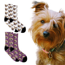 Personalized Pet Photo Socks