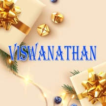 Viswanathan_Name T-Shirt