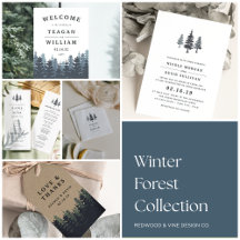 Winter Forest