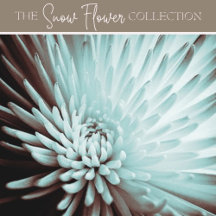Snow Flower