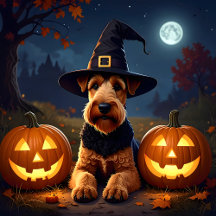 Welsh Terrier In Witch's Hat, Halloween Pumpkins