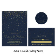 Elegant Navy & Gold Falling Stars Wedding