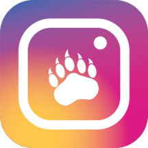 Instabear