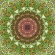 Nature Mandalas