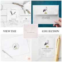 Special Delivery   Watercolor Stork