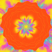 Power Flower’s Magnets