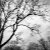 Lanes_Photography