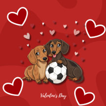 Dachshunds with soccer ball for Valentine's Day