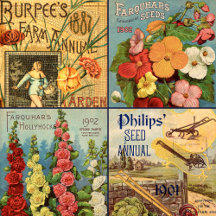 Seed Packet and Catalog Art