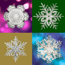 Winter Holiday Snowflake Collection