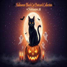 Halloween black cat postcard