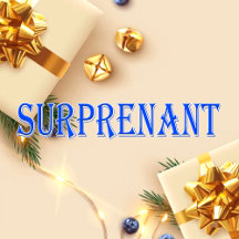 Surprenant_Name T-Shirt