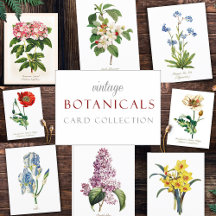 USA & world state flowers and plants