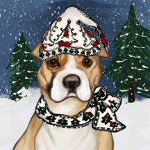 AMERICAN STAFFORDSHIRE TERRIER 