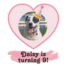 Polka Dot Photo Birthday