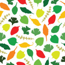 Herb Garden Home Ware Collection