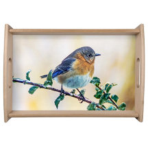 Kitchen - Serving Trays