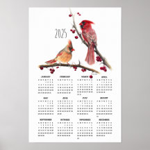 2025 Bird Calendars Collection