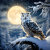 SnowOwlMoon