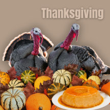 Thanksgiving Ideas & Inspiration