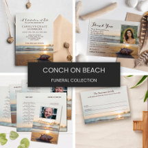 Conch on Beach