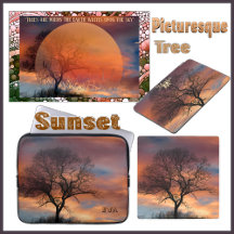 Picturesque Tree Silhouette Sunset Twilight Sky 