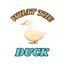 What the duck??