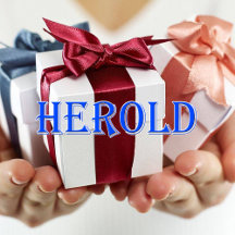 Herold_Name T-Shirt