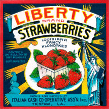 Louisiana Strawberries