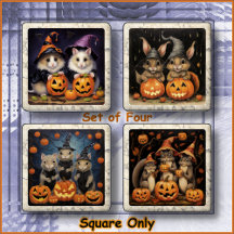 HOLIDAY: HALLOWEEN - Black Cats, Pumpkins & Skulls