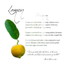 The Lemon Fruit