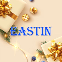 Eastin_Name T-Shirt