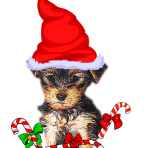 Yorkshire Terrier jul Julkort