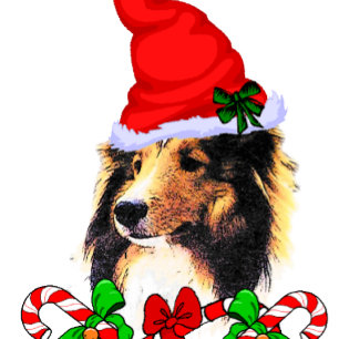 Shetland Sheepdog jul Julkort