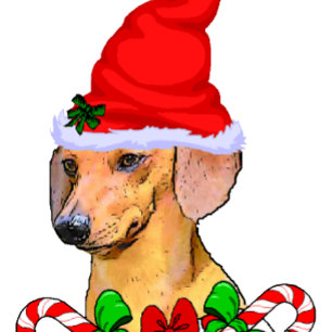 Julgåvor från Dachshund Älskare Helgkort