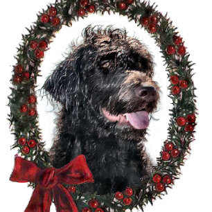 Labradoodle-julklappar Helgkort