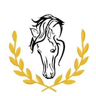Elegant Equestrian Spara Datum Magnet