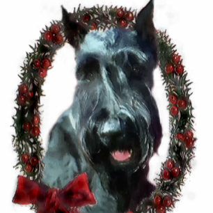 Giant Schnauzer-julklappar Helgkort
