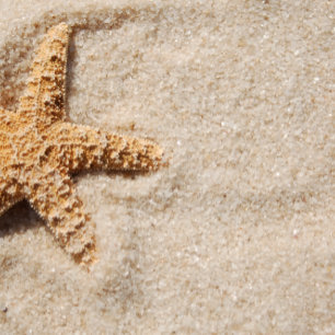 Beach Wedding bjudande: Starfish in Sand Inbjudningar