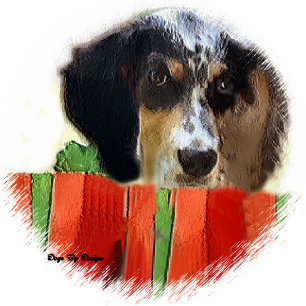 Julgåvor för engelsk Setter Helgkort