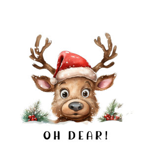 Funny Ho Ho Ho Heartslag   Rener Santa Hat T Shirt