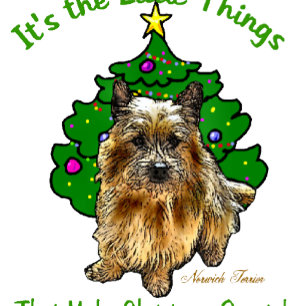 Norwich Terrier-jul Julkort