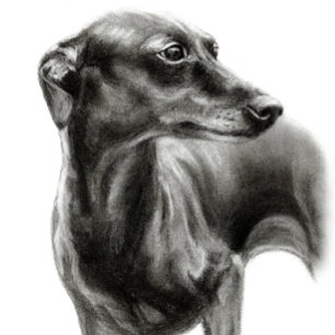 Greyhound charcol teckning julgransprydnad metall