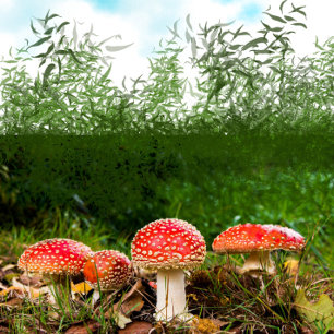Fall Forest Muchrum Runt Klistermärke